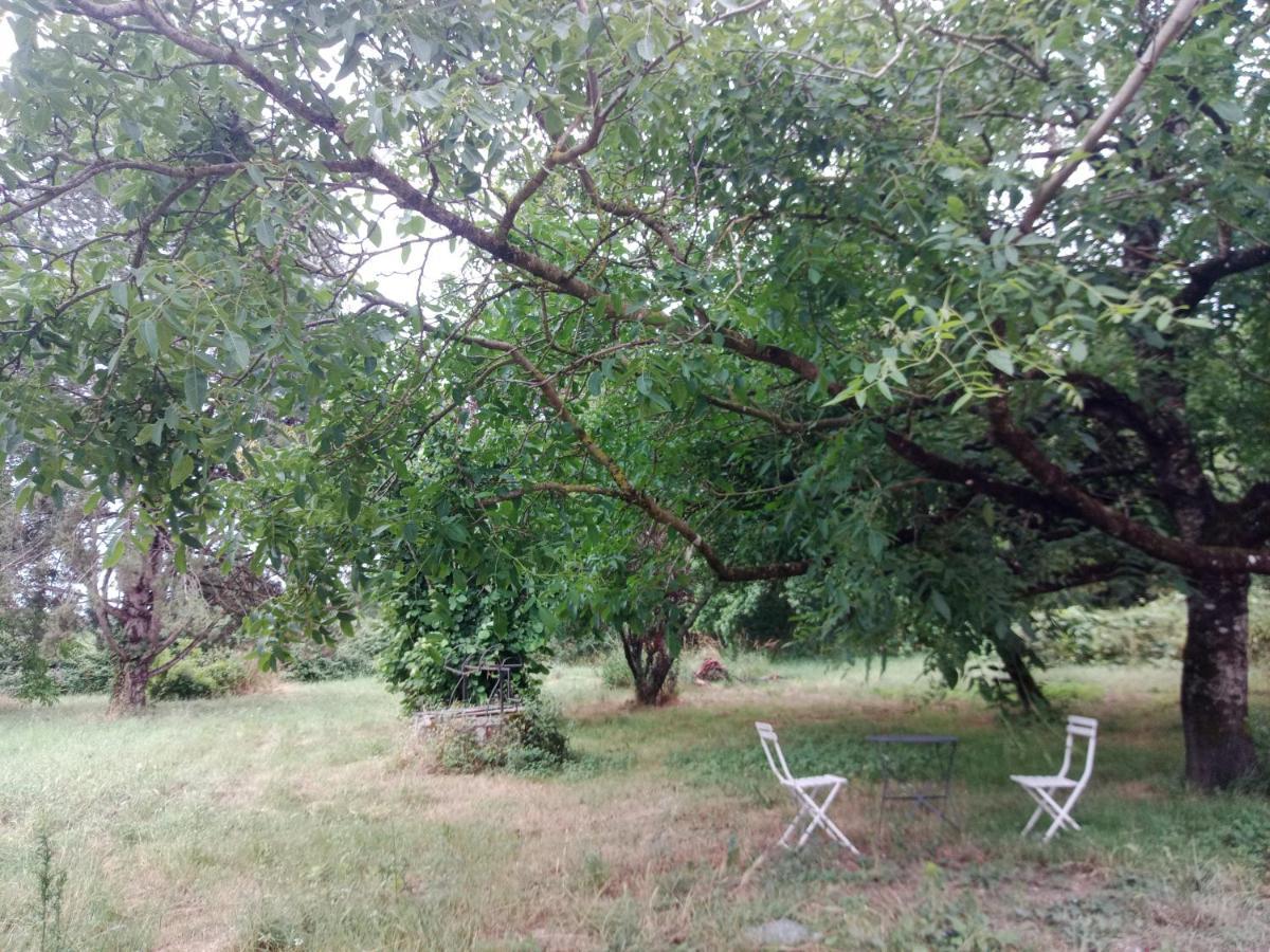 Cottages Et B&B De Troussay Cheverny Ngoại thất bức ảnh
